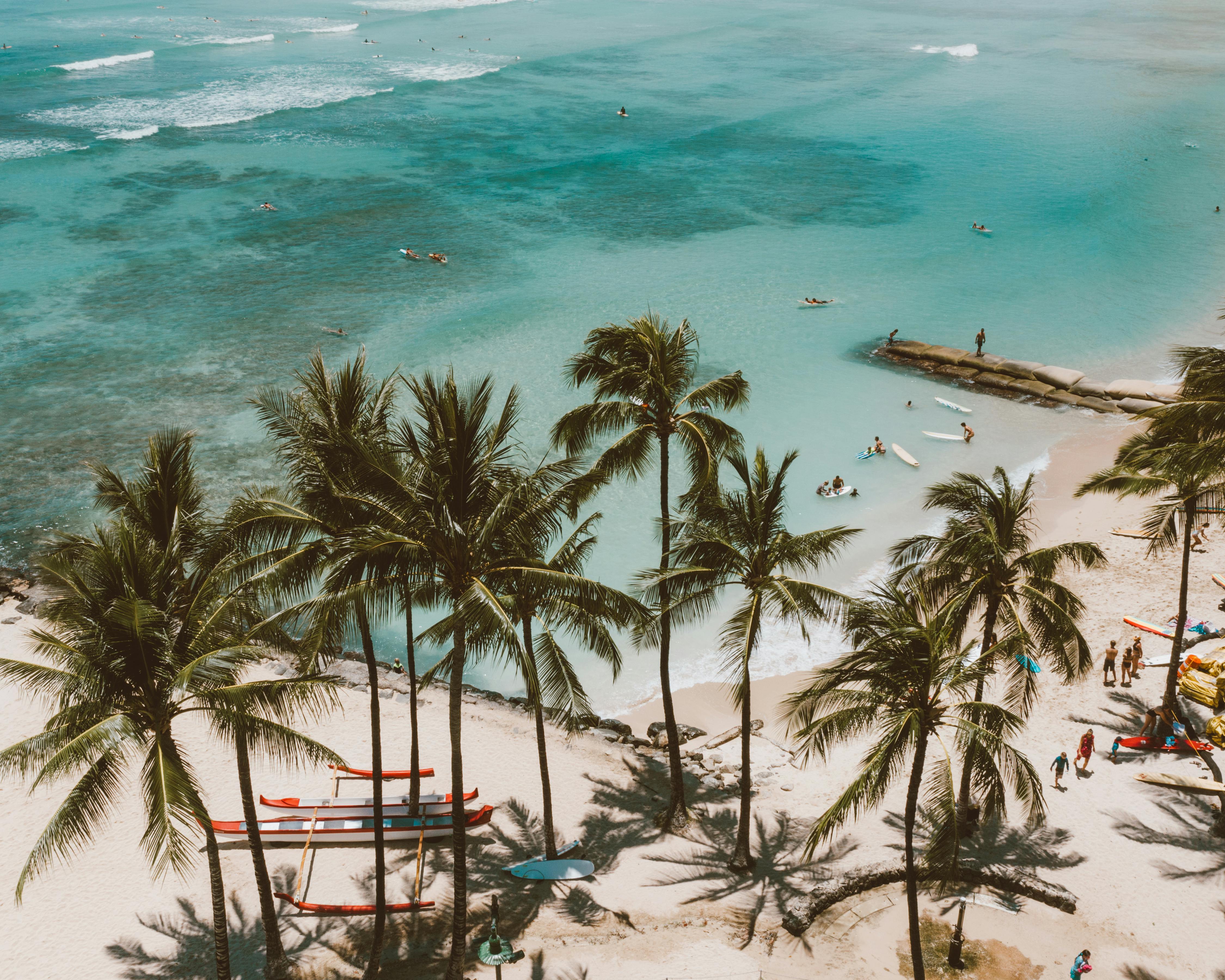 Scenic Oahu coastline with palm trees and turquoise water